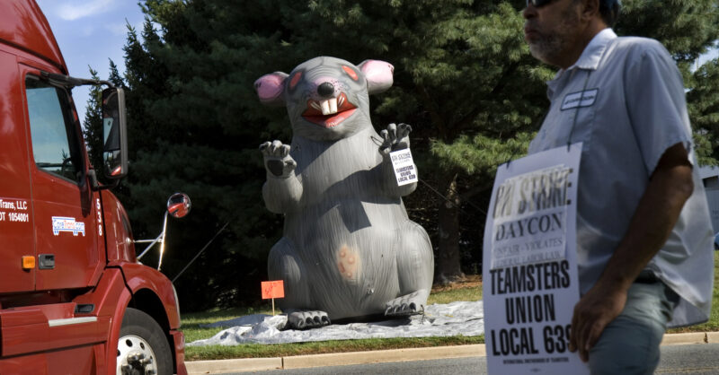 Scabby the Rat Heads to Showdown as NLRB Weighs Protest Limits