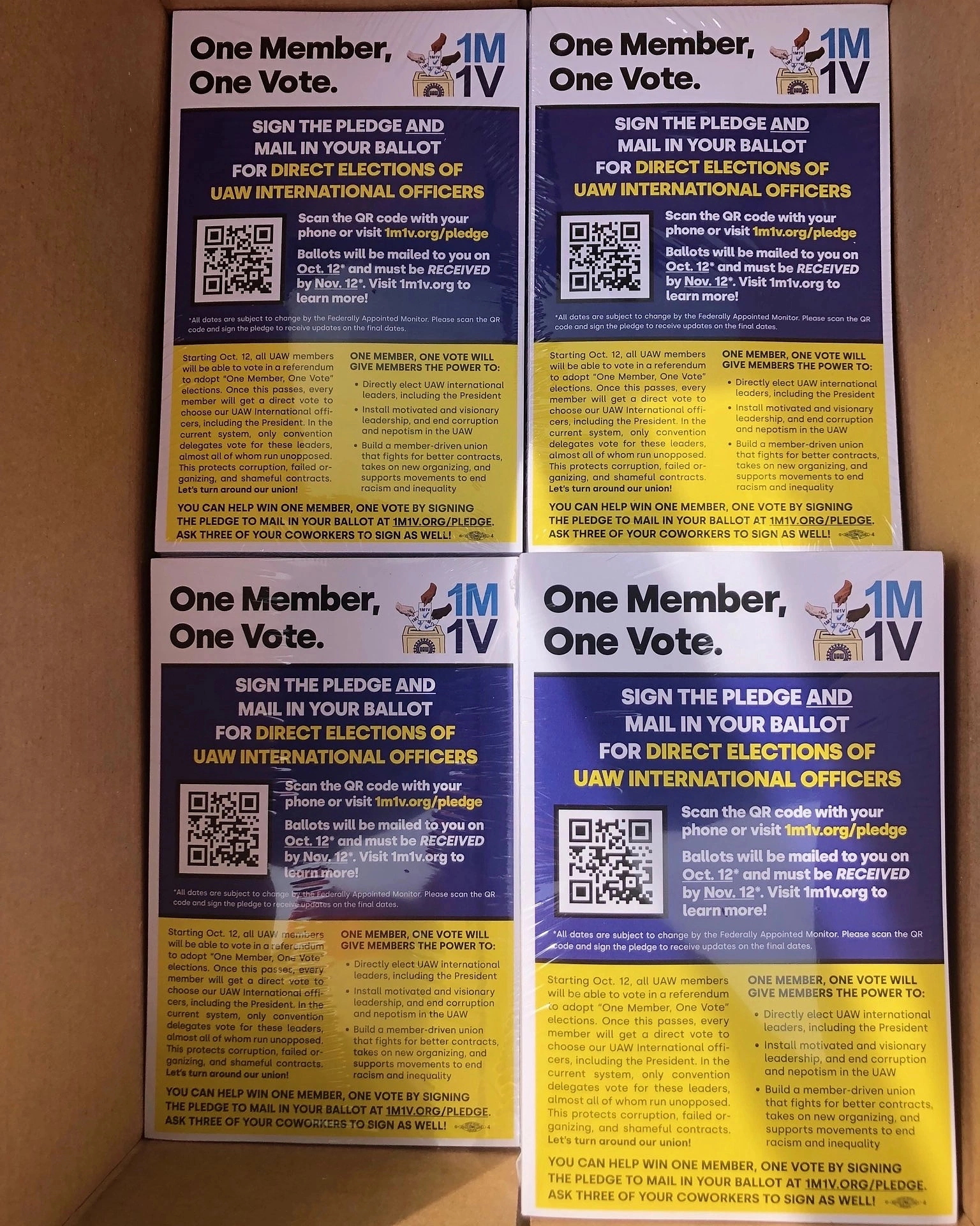 Updated 1M1V Flyers Now Available! Get Yours Today!